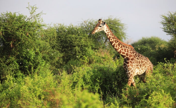 Top Vacation Packages