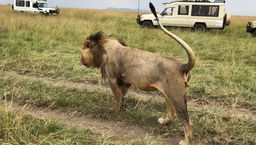 WhatsApp-Image-2023-03-20-at-19.39.00 – Copy