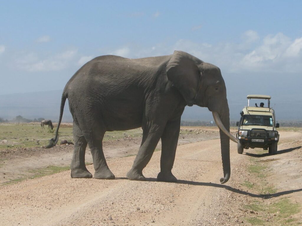 Amboseli National Park