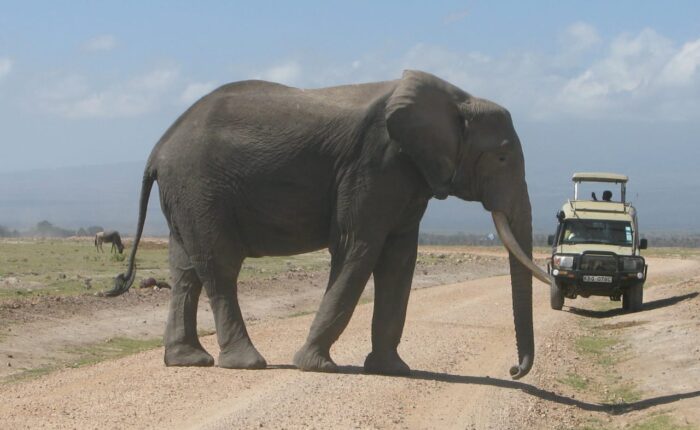 Amboseli National Park
