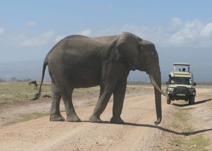 Amboseli National Park