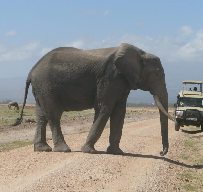Amboseli National Park