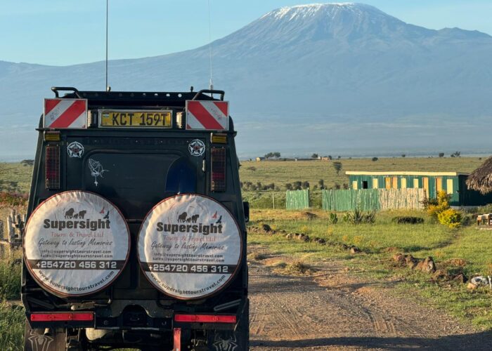 3-Day Amboseli National Park Safari