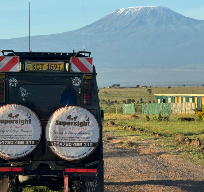 3-Day Amboseli National Park Safari