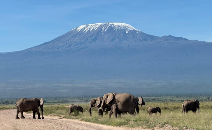 Top Vacation Packages