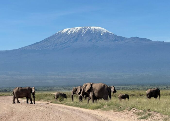 Top Vacation Packages
