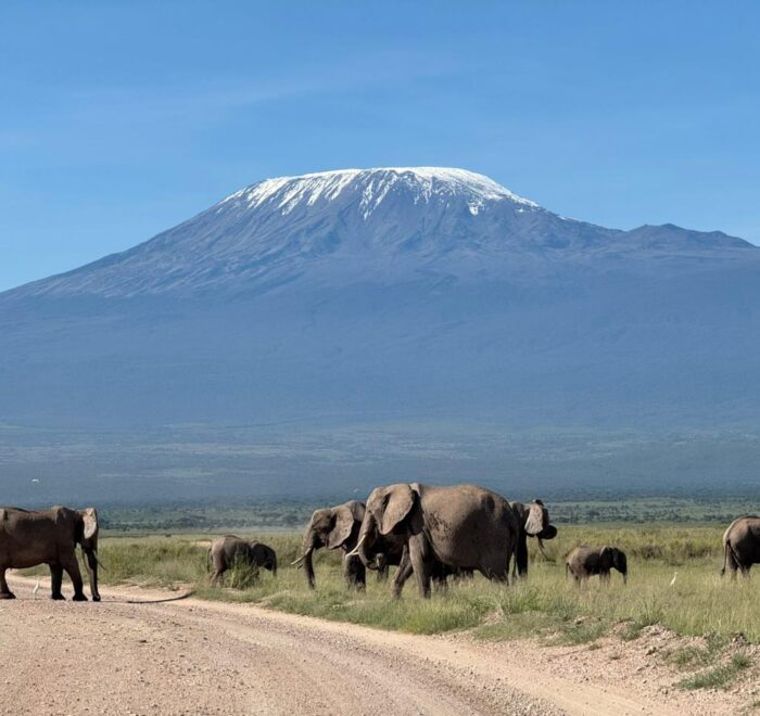 Top Vacation Packages